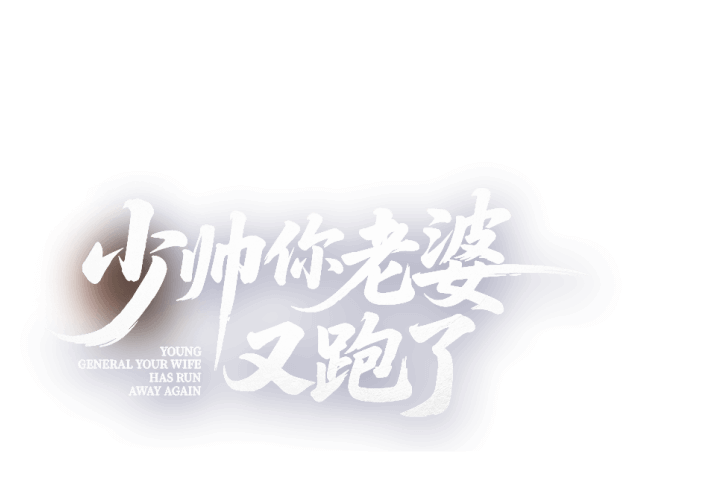 少帅你老婆又跑了剧名